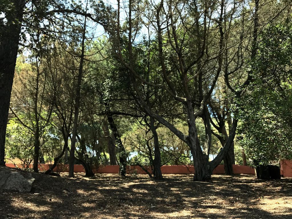 לה מדלנה Villa Mica מראה חיצוני תמונה